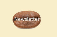 Newsletter Anmeldung
